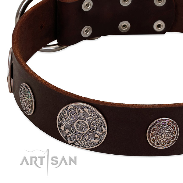 Strong hardware on leather dog collar