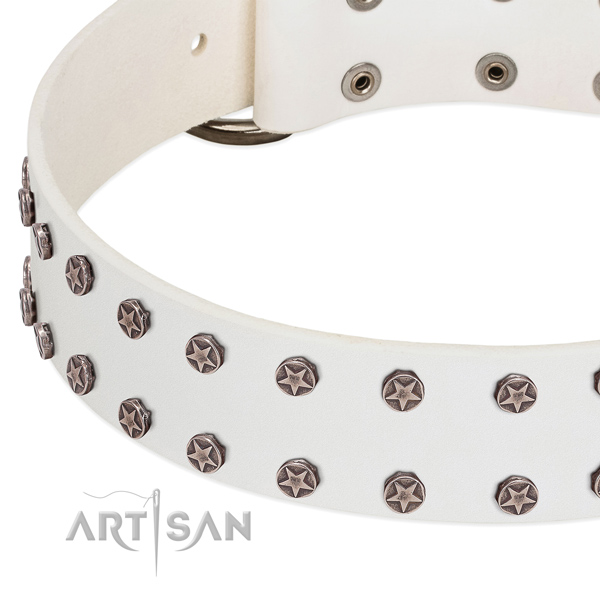 Embellished genuine leather dog collar for comfortable wearing