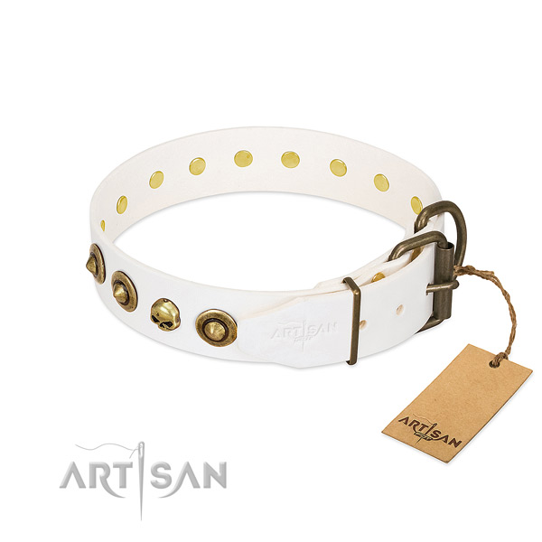 Full grain genuine leather collar with impressive embellishments for your pet