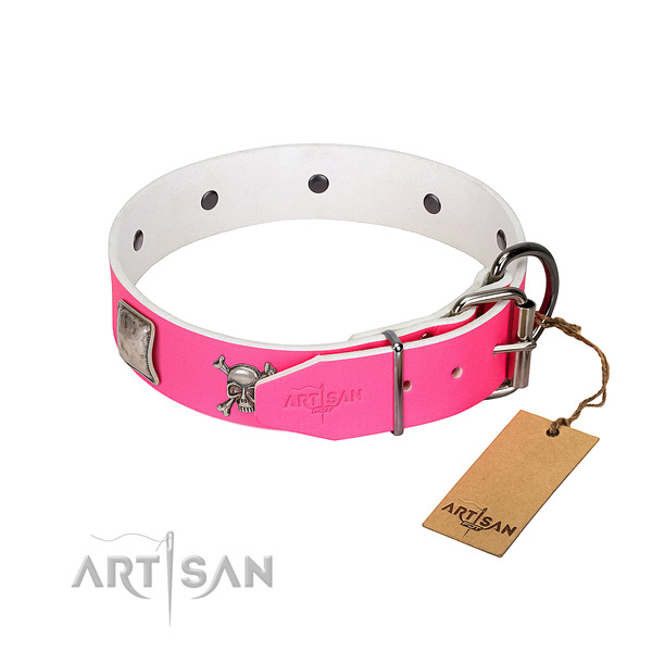 Easy wearing natural leather dog collar with remarkable embellishments