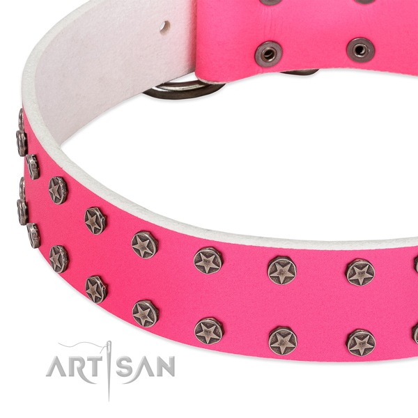 Soft to touch full grain natural leather dog collar with embellishments for your four-legged friend