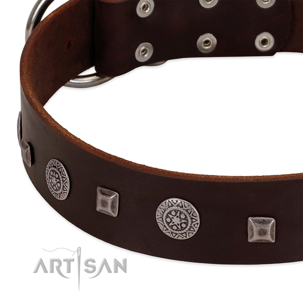 Leather dog collar with corrosion-resistant buckle for reliable dog control