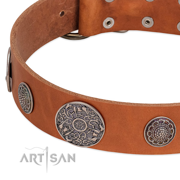 Reliable decorations on leather dog collar