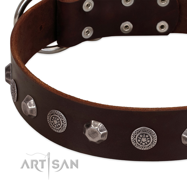 Easy to adjust full grain natural leather dog collar for stylish walking