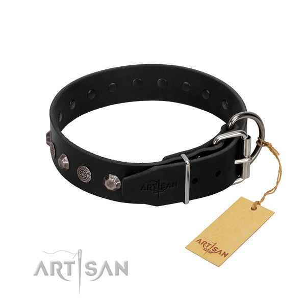 Corrosion proof buckle on leather dog collar for everyday use