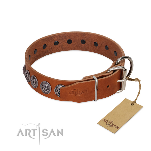 Corrosion resistant traditional buckle on full grain genuine leather dog collar for everyday walking your canine