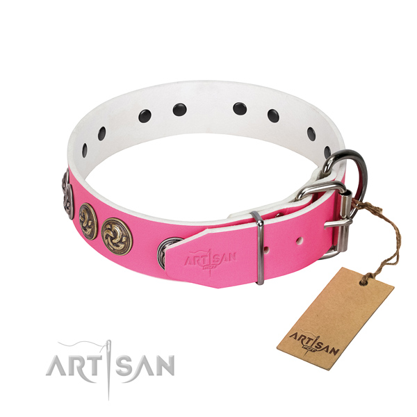 Strong fittings on fashionable full grain genuine leather dog collar