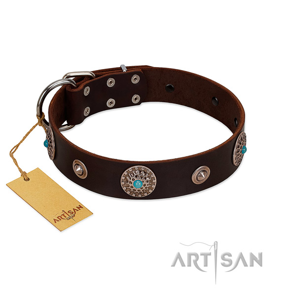 Reliable full grain genuine leather dog collar handcrafted for your four-legged friend