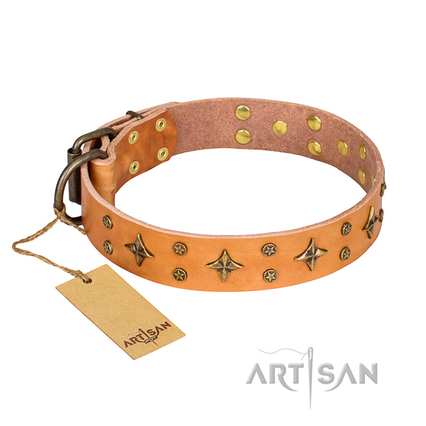 Comfy wearing dog collar of durable leather with embellishments