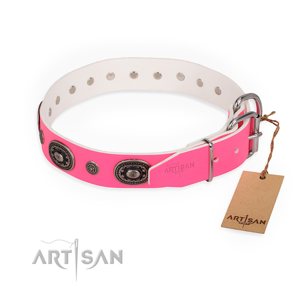 Everyday use exceptional dog collar with rust-proof hardware