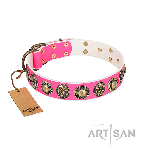 Easy wearing full grain leather dog collar for stylish walking your four-legged friend