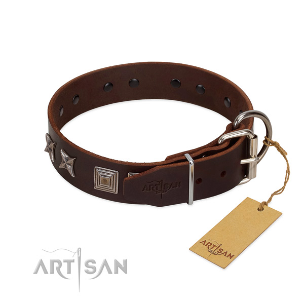 Leather dog collar with extraordinary adornments for your canine
