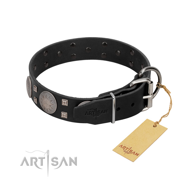 Incredible leather dog collar for walking your doggie