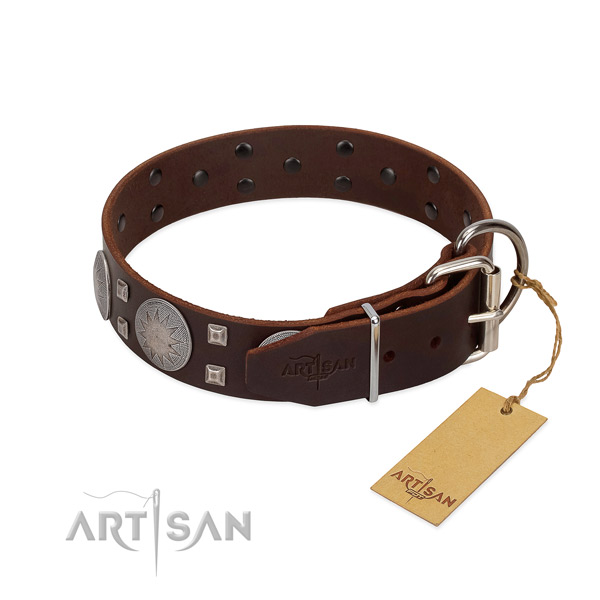 Amazing full grain natural leather dog collar for stylish walking your doggie