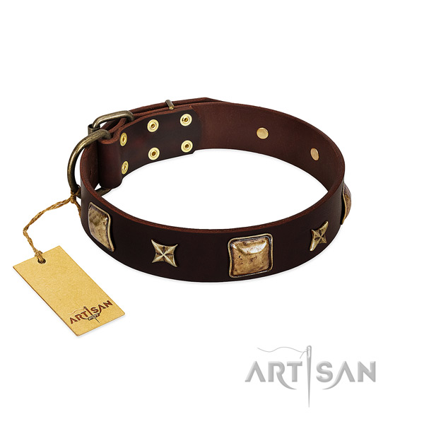 Embellished full grain leather collar for your pet