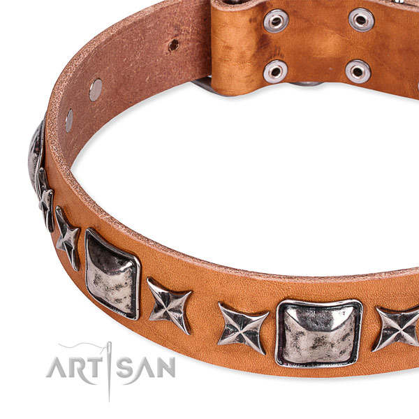Daily walking embellished dog collar of best quality full grain leather