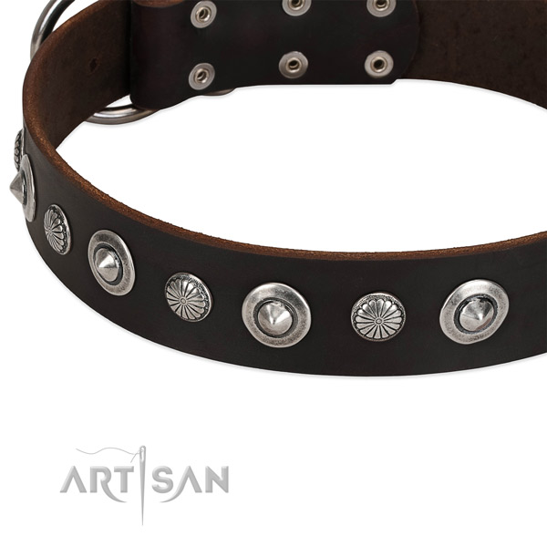Exquisite adorned dog collar of durable leather
