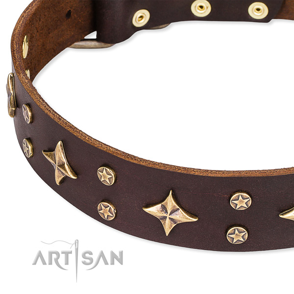 Daily use adorned dog collar of durable genuine leather