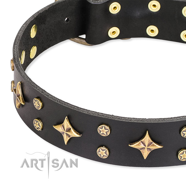 Comfortable wearing studded dog collar of top notch natural leather