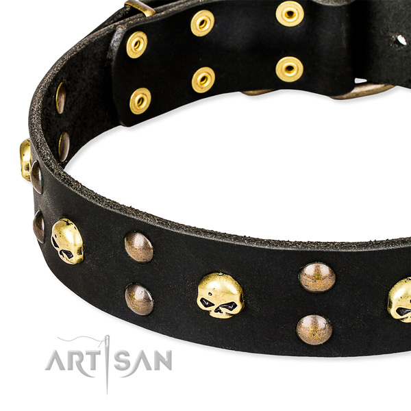 Fancy walking studded dog collar of top quality genuine leather