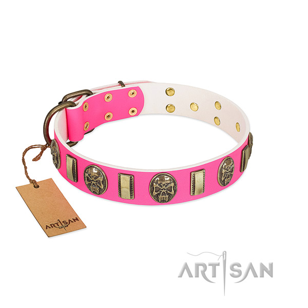 Reliable decorations on full grain leather dog collar for your four-legged friend