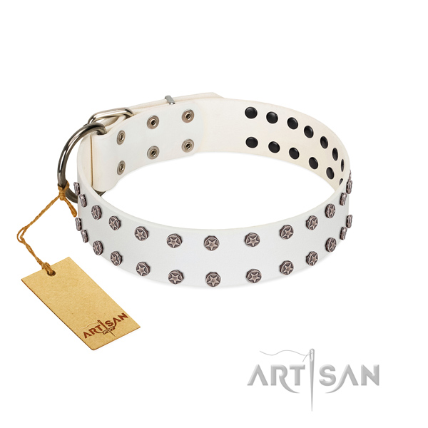 Decorated full grain natural leather dog collar