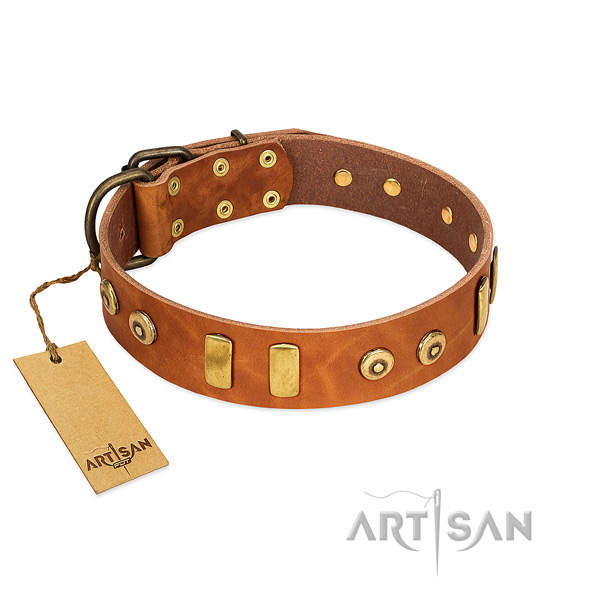 Genuine leather dog collar with top notch adornments for daily use