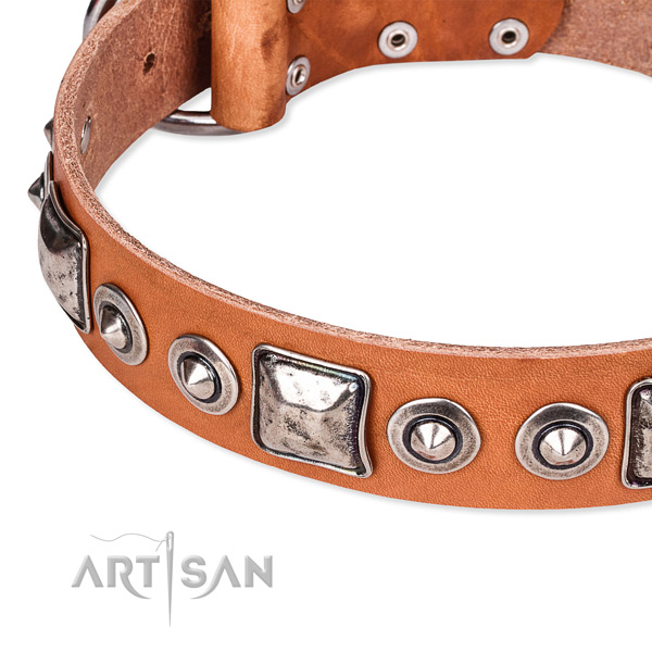 Flexible leather dog collar crafted for your attractive dog