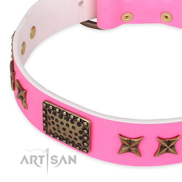 Genuine leather collar with rust-proof hardware for your handsome dog