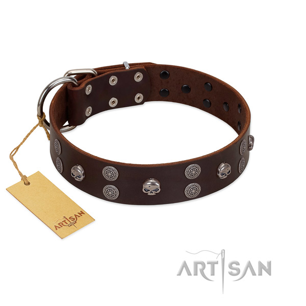 Easy wearing decorated full grain natural leather collar for your dog