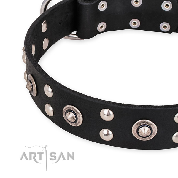 Full grain leather collar with strong fittings for your lovely four-legged friend