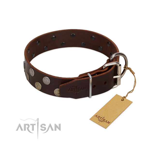 Corrosion proof D-ring on genuine leather dog collar for walking