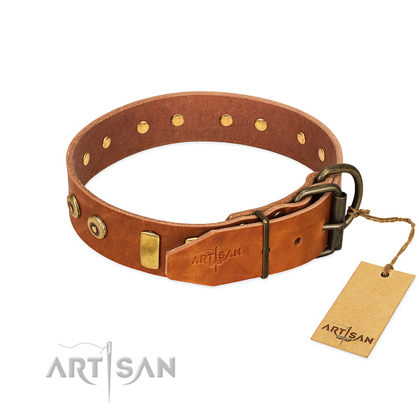 Remarkable studded full grain natural leather dog collar of quality material