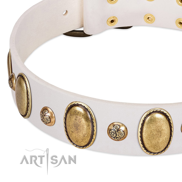 Leather dog collar with remarkable embellishments