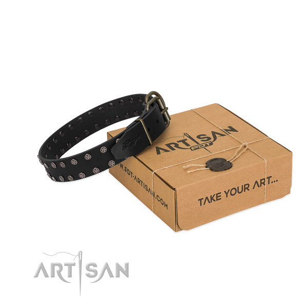 Top rate full grain leather dog collar with embellishments for your handsome canine