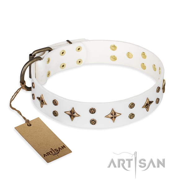 Daily use dog collar of durable full grain leather with adornments