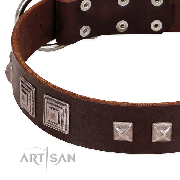 Rust-proof fittings on natural genuine leather dog collar for daily walking