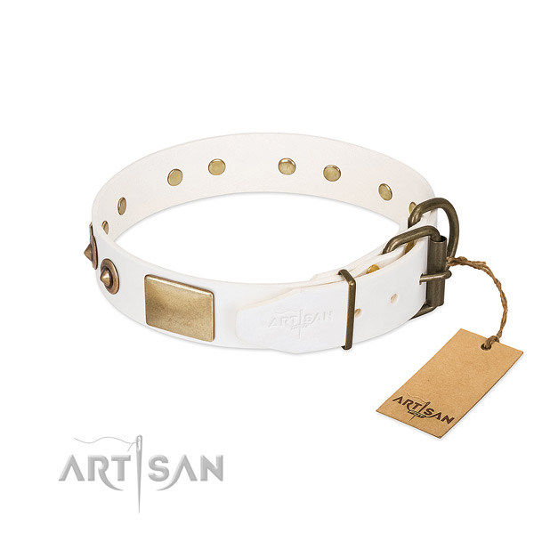 Corrosion resistant fittings on full grain natural leather dog collar for your doggie