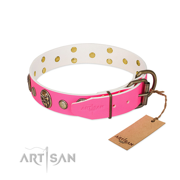 Corrosion resistant embellishments on full grain genuine leather dog collar for your doggie