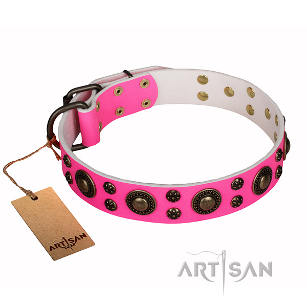 Comfy wearing dog collar of finest quality full grain natural leather with adornments