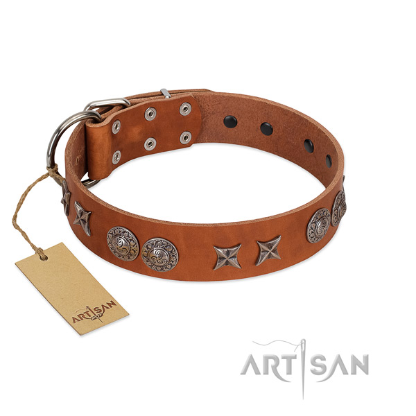 Leather collar with trendy adornments for your pet