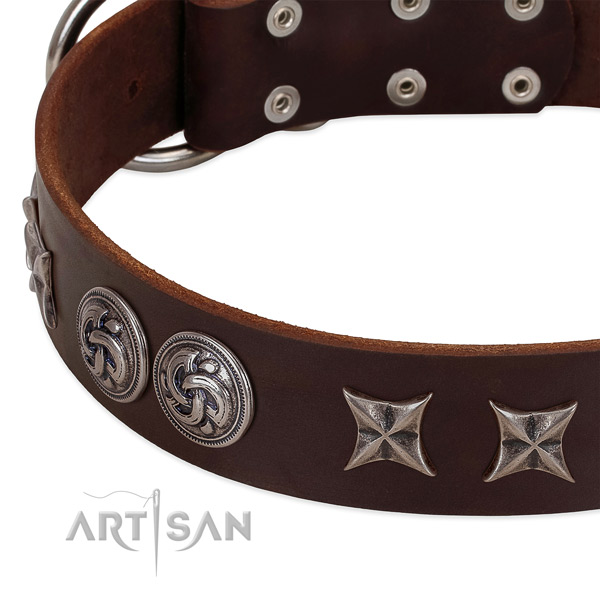 Full grain genuine leather collar with stylish embellishments for your pet