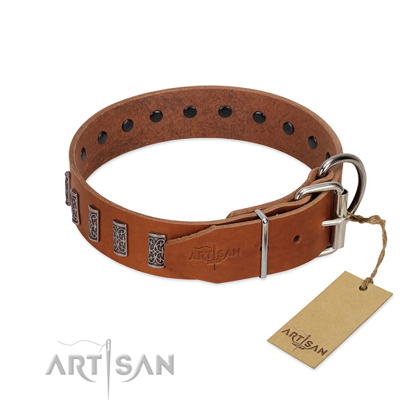 Reliable fittings on genuine leather dog collar for walking your canine