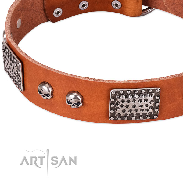 Strong decorations on leather dog collar for your dog