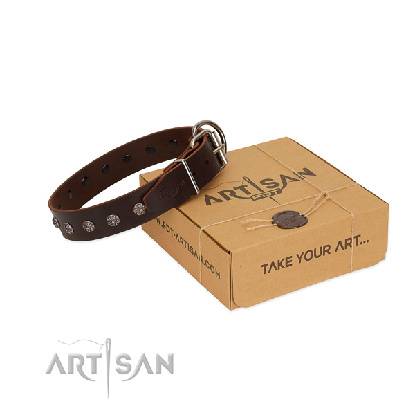Quality genuine leather dog collar with adornments for your beautiful dog