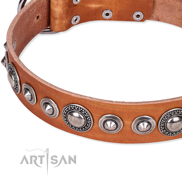 Daily use studded dog collar of top notch full grain natural leather