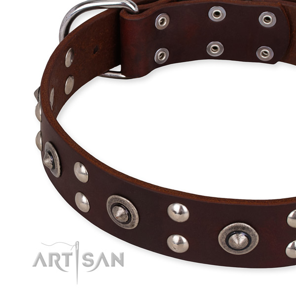 Full grain natural leather collar with rust-proof D-ring for your handsome pet
