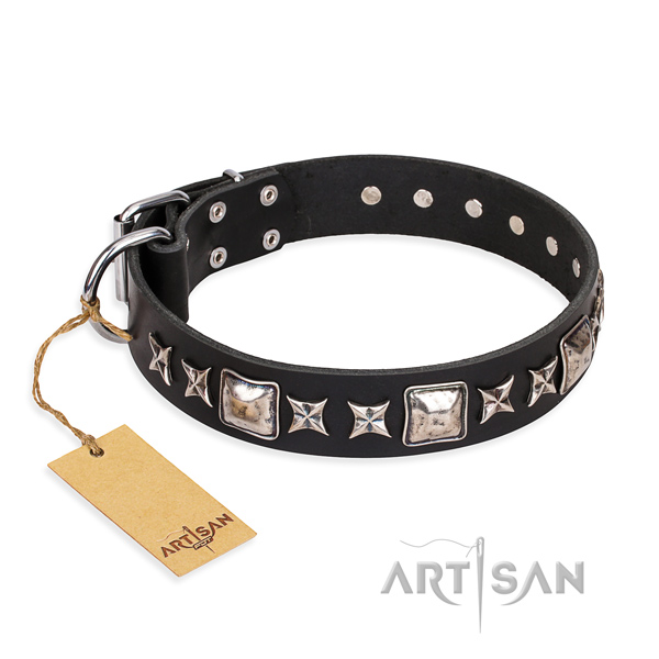 Everyday walking dog collar of quality genuine leather with embellishments