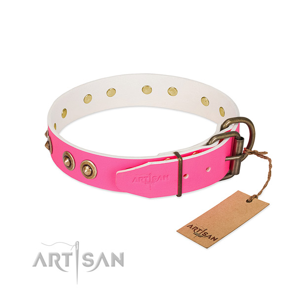 Full grain leather dog collar with corrosion proof traditional buckle and adornments