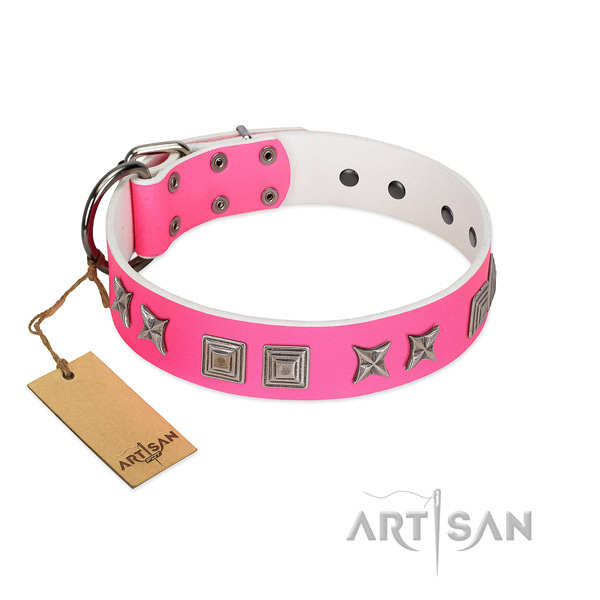 Leather dog collar with inimitable adornments created dog